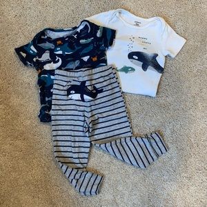 3 piece carters whale set.